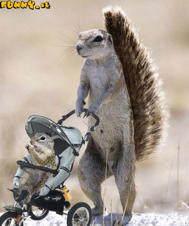 :D:D