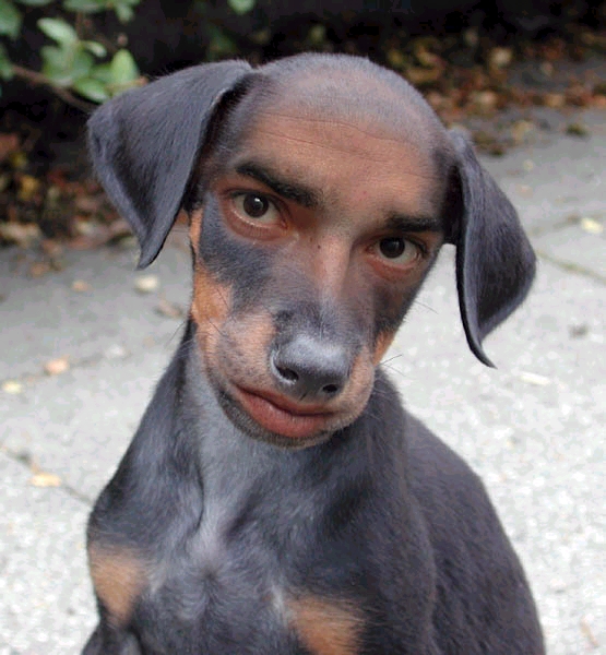 Člověkopes:D